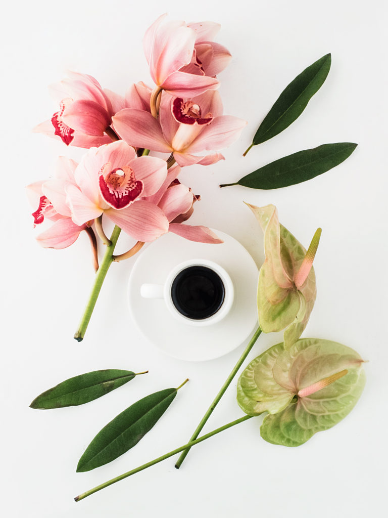 Coffee Flowers Photography Tips Blog