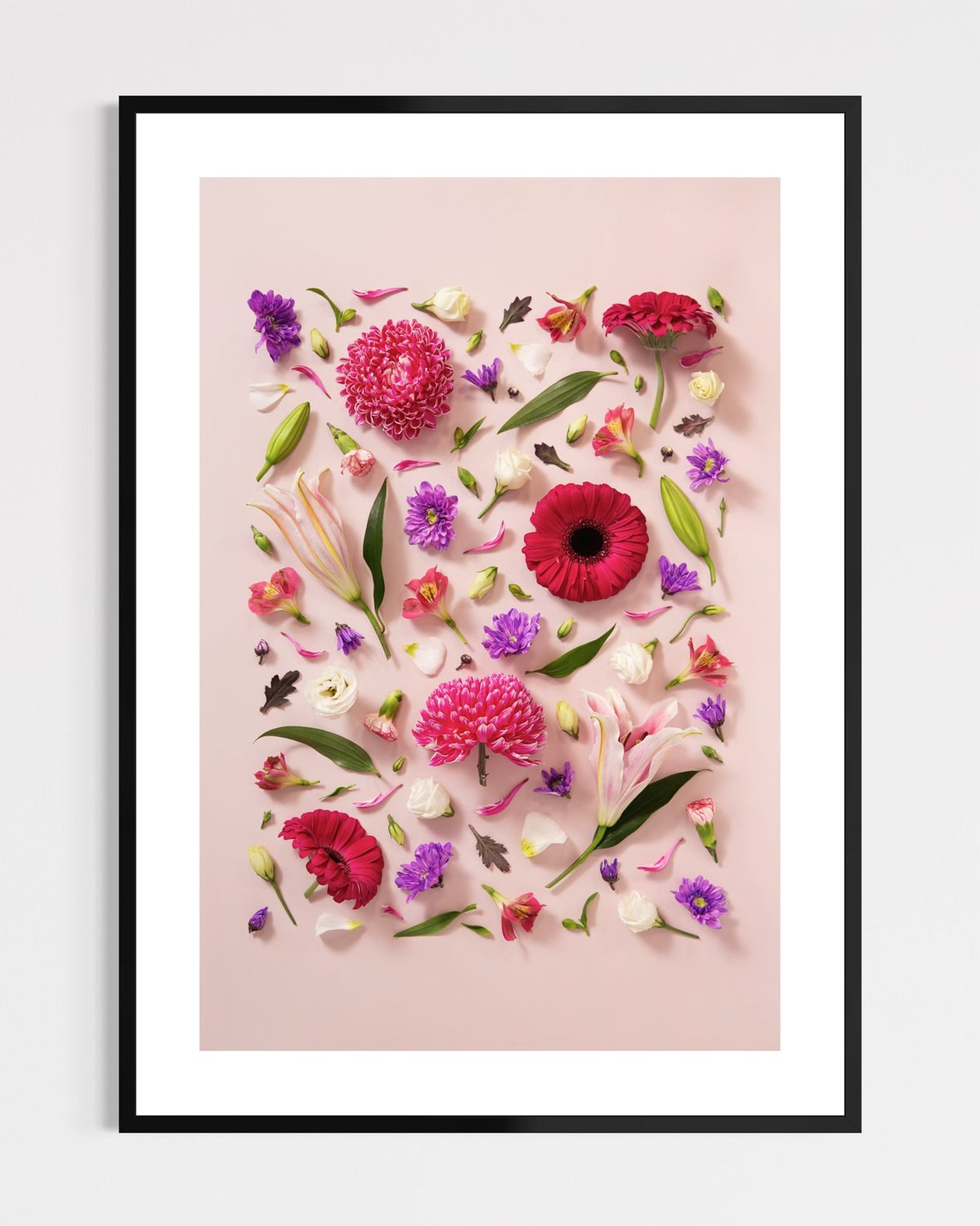 Beginning - fine art floral flatlay of chrysanthemums, lilies and gerberas on soft pink in a black frame, from Quiet Emergence by Connie Chan.
