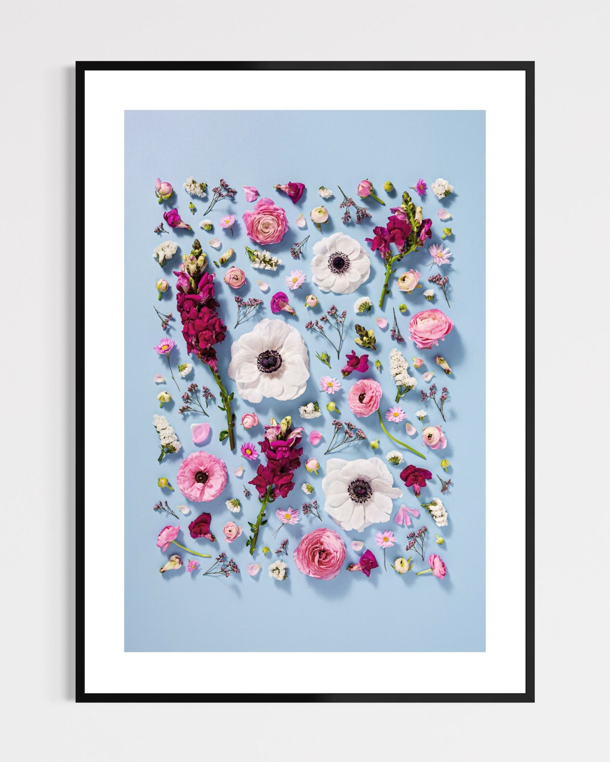 Confident Calm - fine art floral flatlay of anemones, snapdragons and ranunculus on pale blue in a black frame, from Quiet Emergence by Connie Chan.