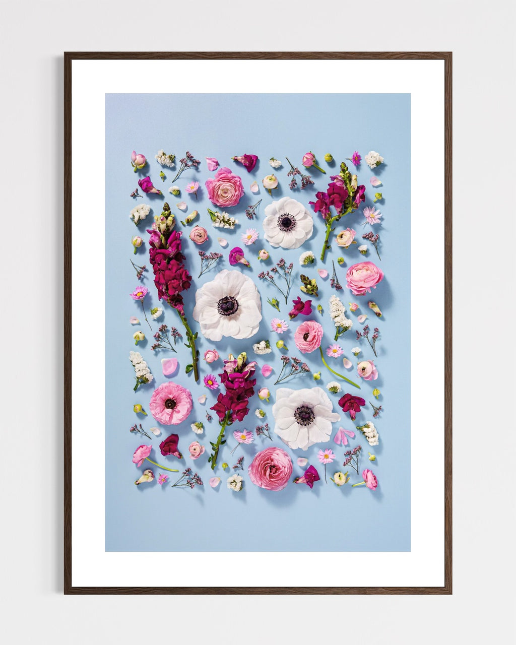 Confident Calm - fine art floral flatlay of anemones, snapdragons and ranunculus on pale blue in a dark wood frame, from Quiet Emergence by Connie Chan.
