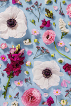 Confident Calm - close up of a fine art floral flatlay of anemones, snapdragons and ranunculus on pale blue, from Quiet Emergence by Connie Chan.
