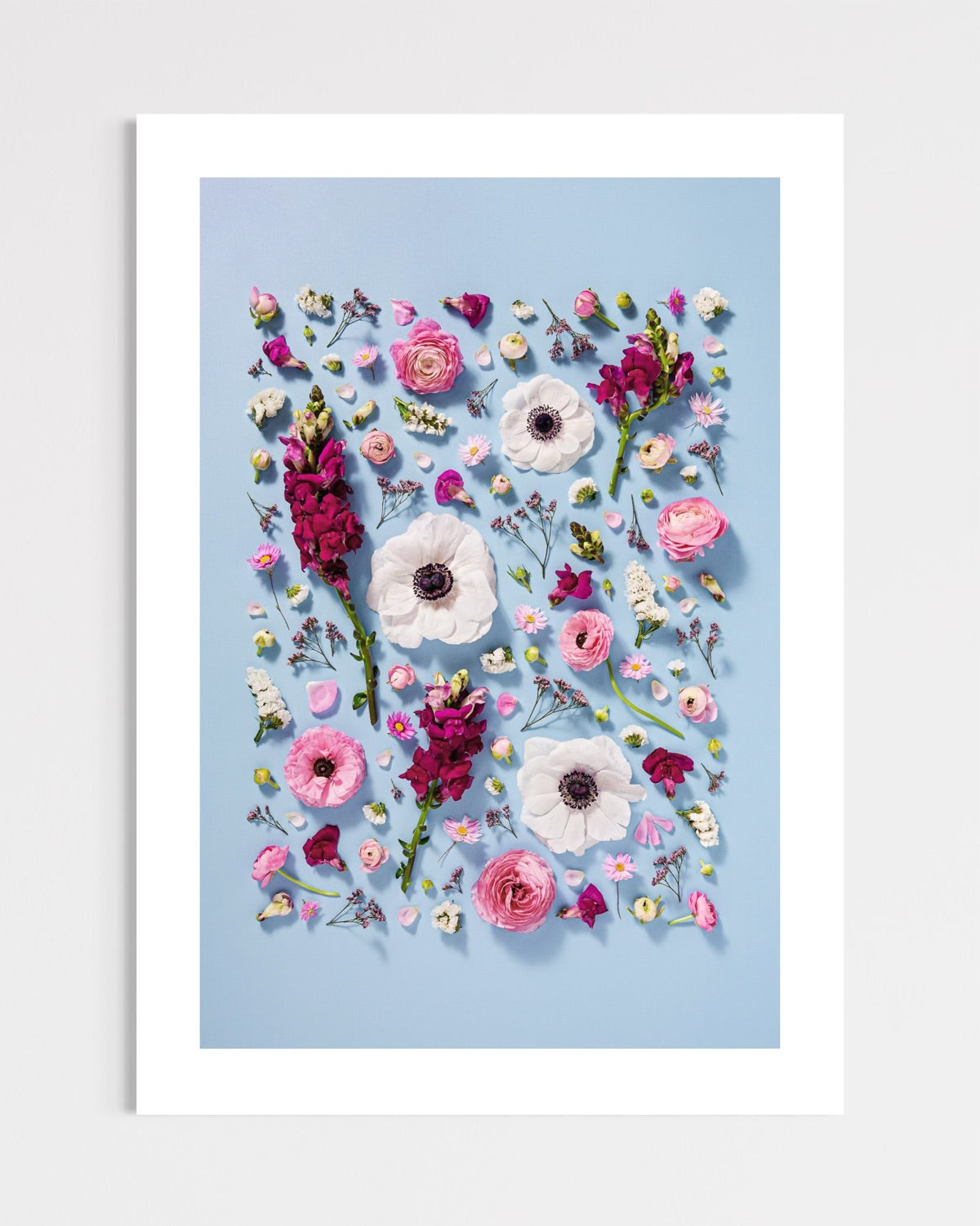 Confident Calm - fine art floral flatlay of anemones, snapdragons and ranunculus on pale blue, uframed, from Quiet Emergence by Connie Chan.