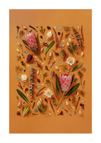 Enduring Stillness - fine art floral flatlay of proteas and eucalyptus on warm terracotta, from Quiet Emergence by Connie Chan.
