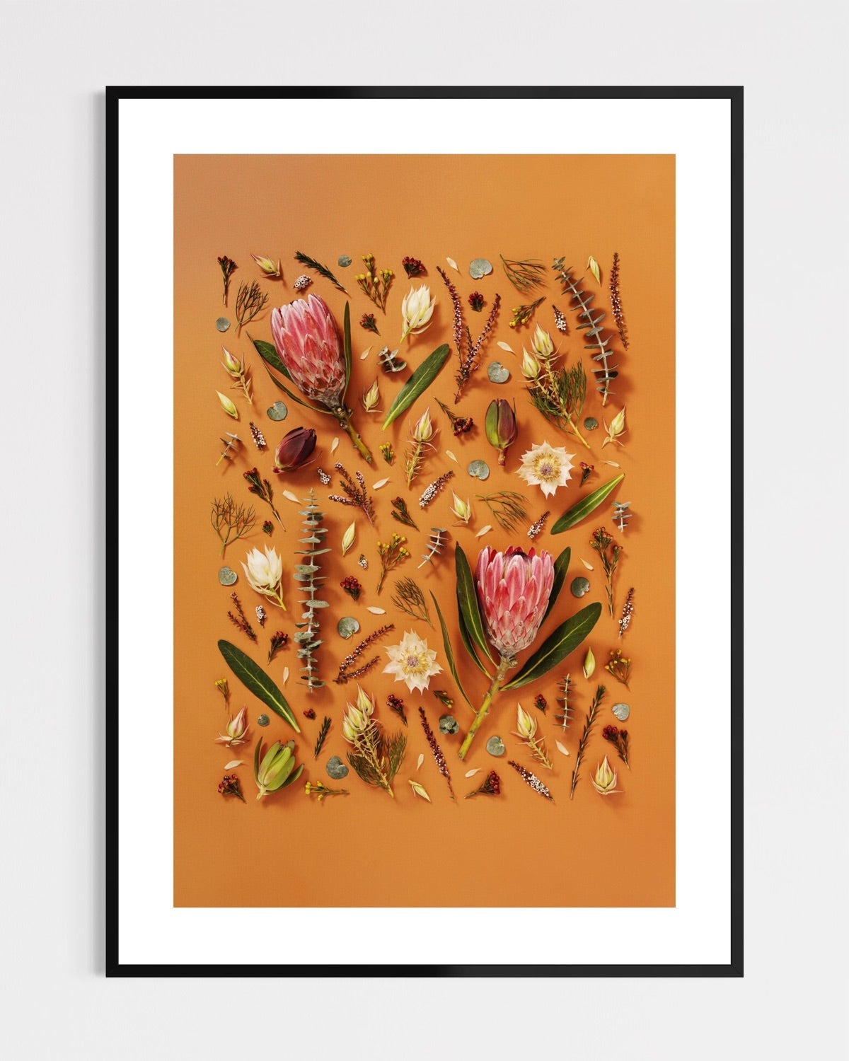 Enduring Stillness - fine art floral flatlay of proteas and eucalyptus on warm terracotta in a black frame, from Quiet Emergence by Connie Chan.