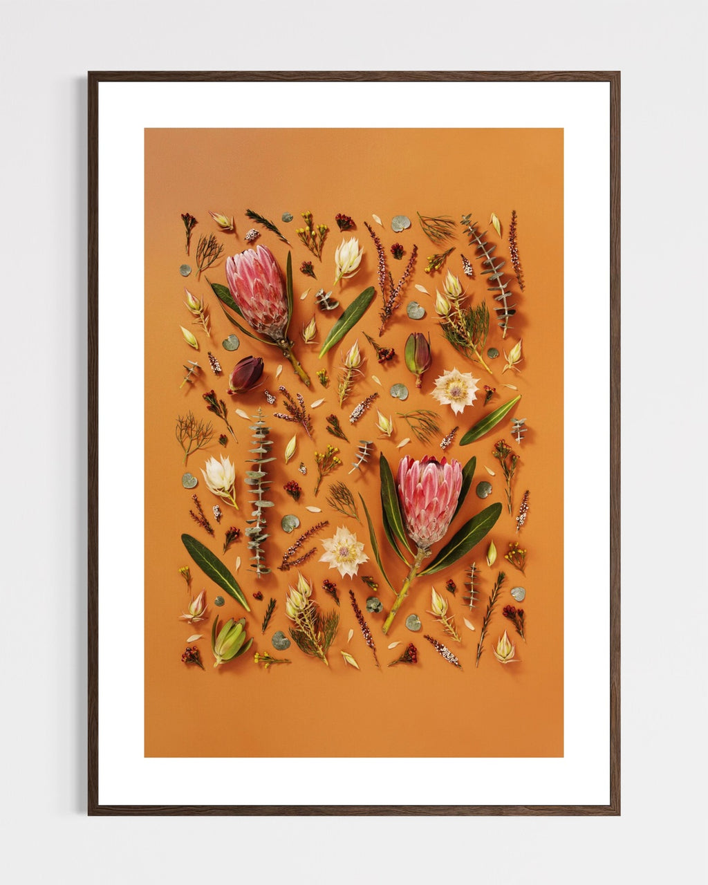 Enduring Stillness - fine art floral flatlay of proteas and eucalyptus on warm terracotta in a dark wood frame, from Quiet Emergence by Connie Chan.
