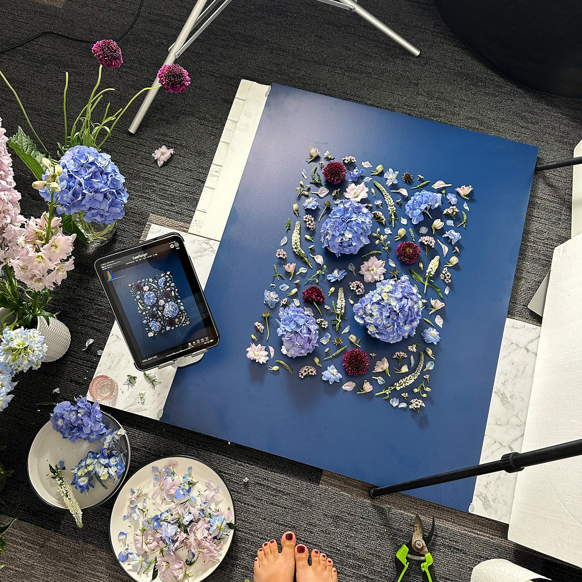 In the studio behind the scenes of a flower flatlay photo shoot featuring blue hydrangeas, delphinium, white veronica, scabiosa and other mixed blooms on a navy blue surface