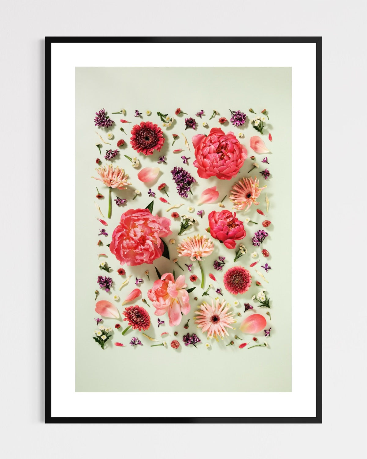 Giving Grace - fine art floral flatlay of peonies, gerberas and lilac on muted green in a black frame, from Quiet Emergence by Connie Chan.
