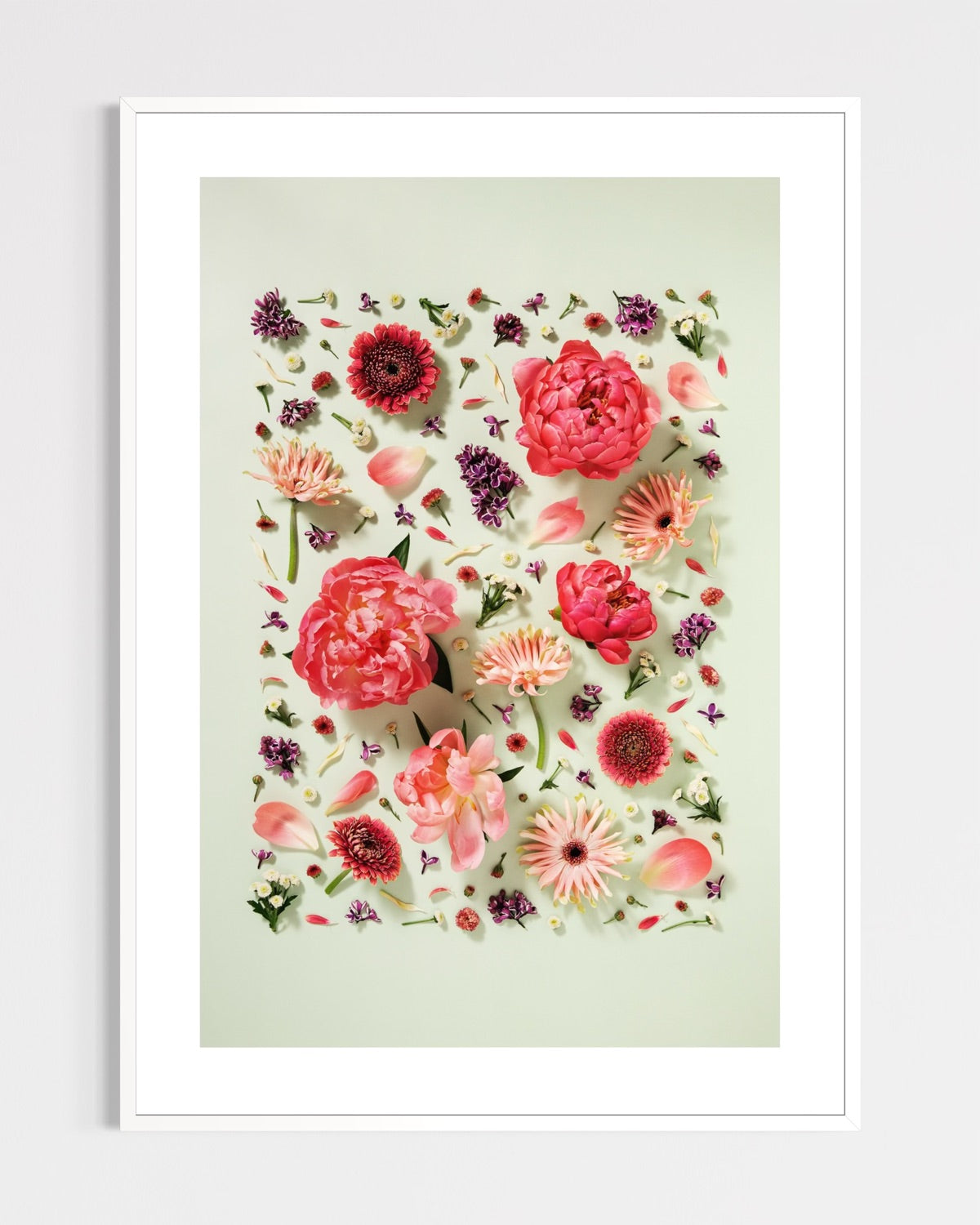 Giving Grace - fine art floral flatlay of peonies, gerberas and lilac on muted green in a white frame, from Quiet Emergence by Connie Chan.
