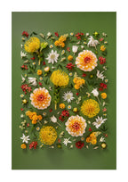 Grounded Touch - fine art floral flatlay of dahlias and pincushions on deep olive, from Quiet Emergence by Connie Chan.
