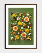 Grounded Touch - fine art floral flatlay of dahlias and pincushions on deep olive in a dark wood frame, from Quiet Emergence by Connie Chan.
