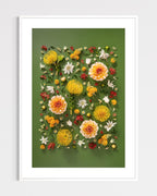 Grounded Touch - fine art floral flatlay of dahlias and pincushions on deep olive in a white frame, from Quiet Emergence by Connie Chan.
