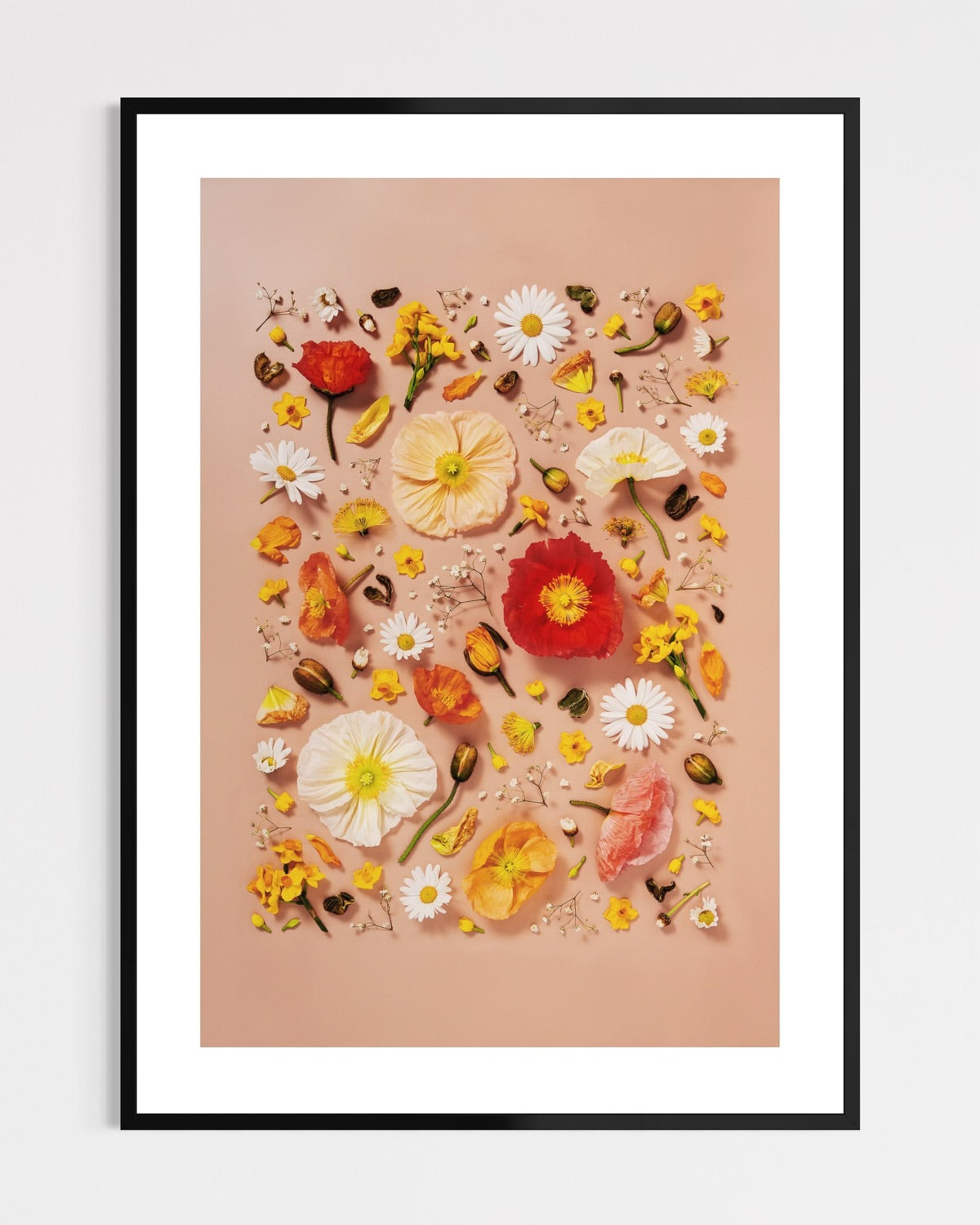 Joy and Lightness - fine art floral flatlay of Iceland poppies and daisies on warm peach in a black frame, from Quiet Emergence by Connie Chan.
