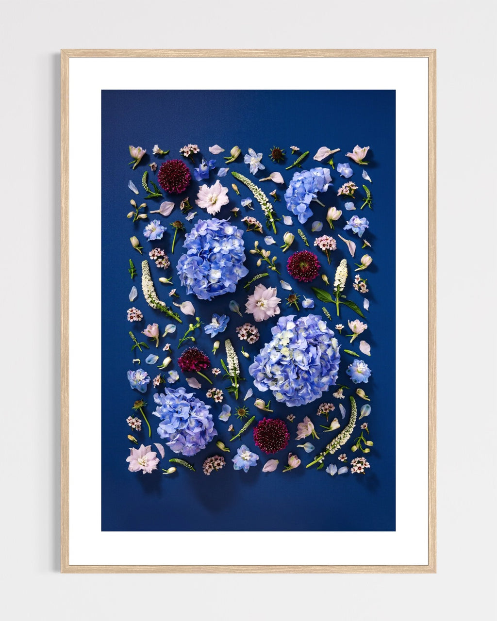 Quiet Queen - fine art floral flatlay of hydrangeas, delphiniums and scabiosa on deep indigo in a light wood frame, from Quiet Emergence by Connie Chan.
