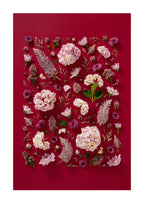 Soft Indulgence - fine art floral flatlay of hydrangeas and mulla mulla on deep raspberry, from Quiet Emergence by Connie Chan.
