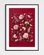 Soft Indulgence - fine art floral flatlay of hydrangeas and mulla mulla on deep raspberry in a black frame, from Quiet Emergence by Connie Chan.
