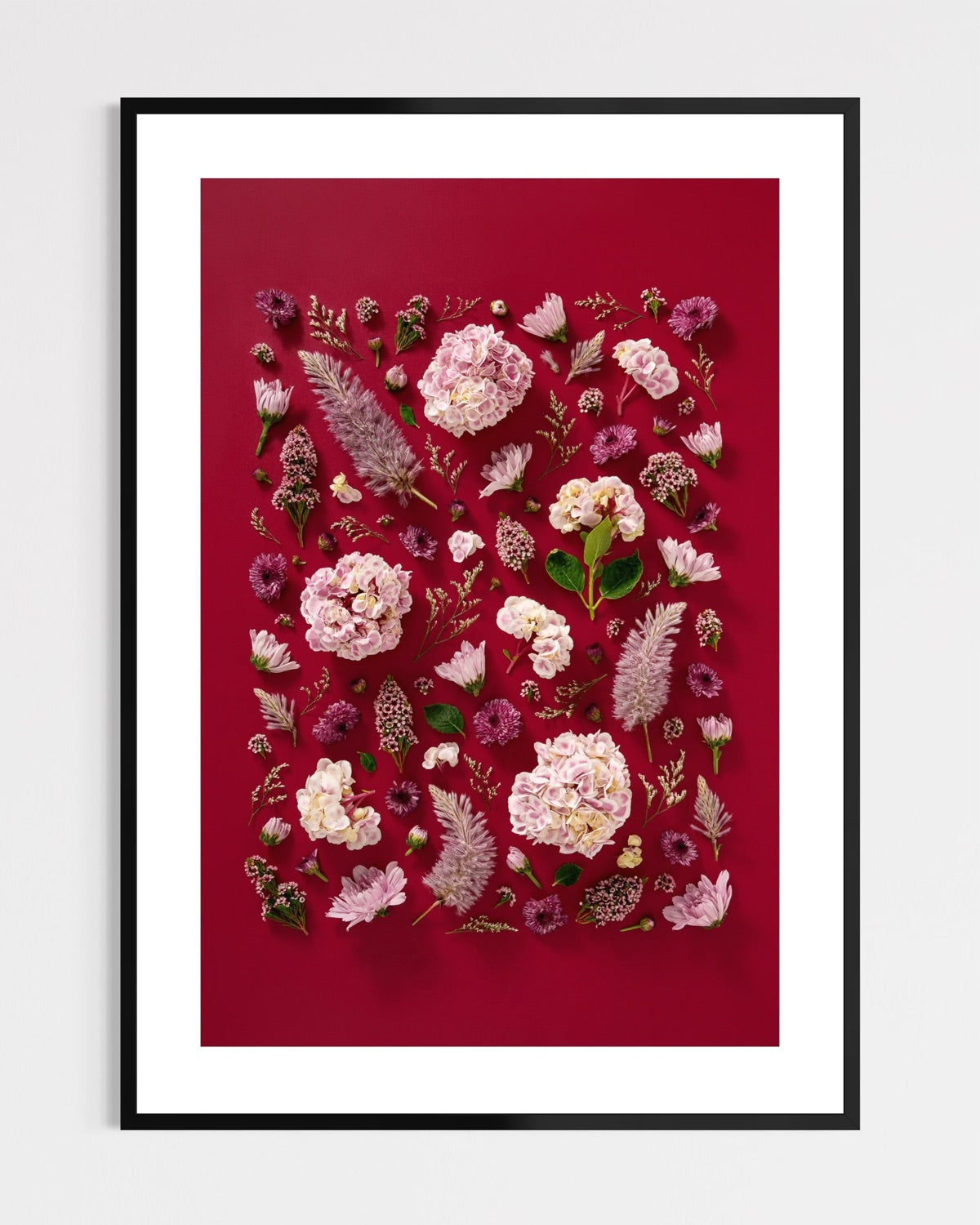 Soft Indulgence - fine art floral flatlay of hydrangeas and mulla mulla on deep raspberry in a black frame, from Quiet Emergence by Connie Chan.
