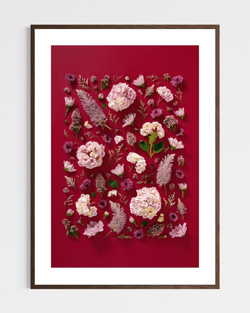 Soft Indulgence - fine art floral flatlay of hydrangeas and mulla mulla on deep raspberry in a dark wood frame, from Quiet Emergence by Connie Chan.
