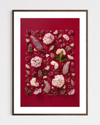Soft Indulgence - fine art floral flatlay of hydrangeas and mulla mulla on deep raspberry in a dark wood frame, from Quiet Emergence by Connie Chan.
