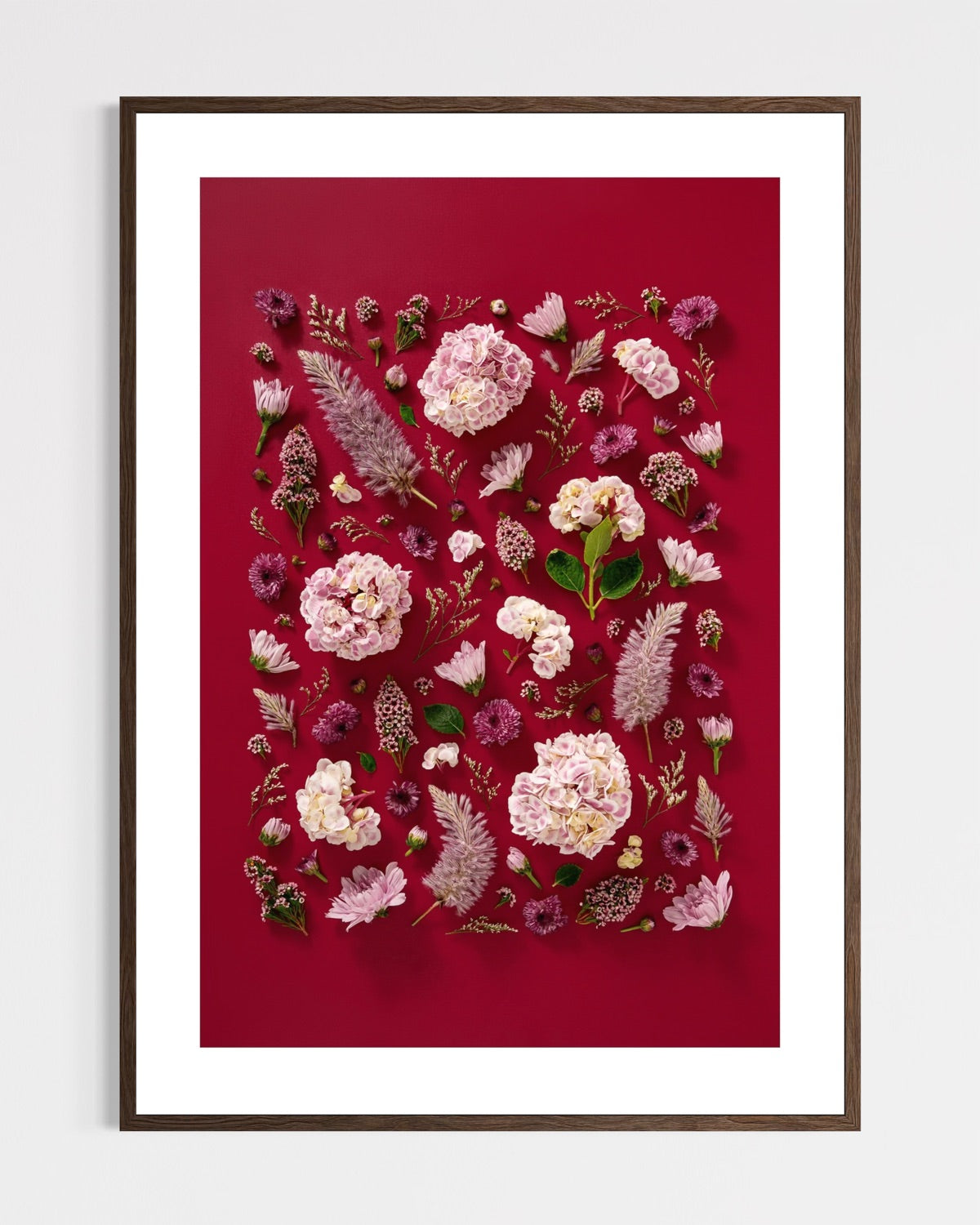 Soft Indulgence - fine art floral flatlay of hydrangeas and mulla mulla on deep raspberry in a dark wood frame, from Quiet Emergence by Connie Chan.
