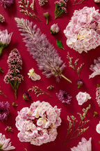 Soft Indulgence - close up of a fine art floral flatlay of hydrangeas and mulla mulla on deep raspberry, from Quiet Emergence by Connie Chan.
