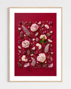 Soft Indulgence - fine art floral flatlay of hydrangeas and mulla mulla on deep raspberry in a light wood frame, from Quiet Emergence by Connie Chan.
