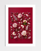Soft Indulgence - fine art floral flatlay of hydrangeas and mulla mulla on deep raspberry, unframed, from Quiet Emergence by Connie Chan.
