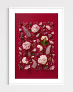 Soft Indulgence - fine art floral flatlay of hydrangeas and mulla mulla on deep raspberry in a white frame, from Quiet Emergence by Connie Chan.

