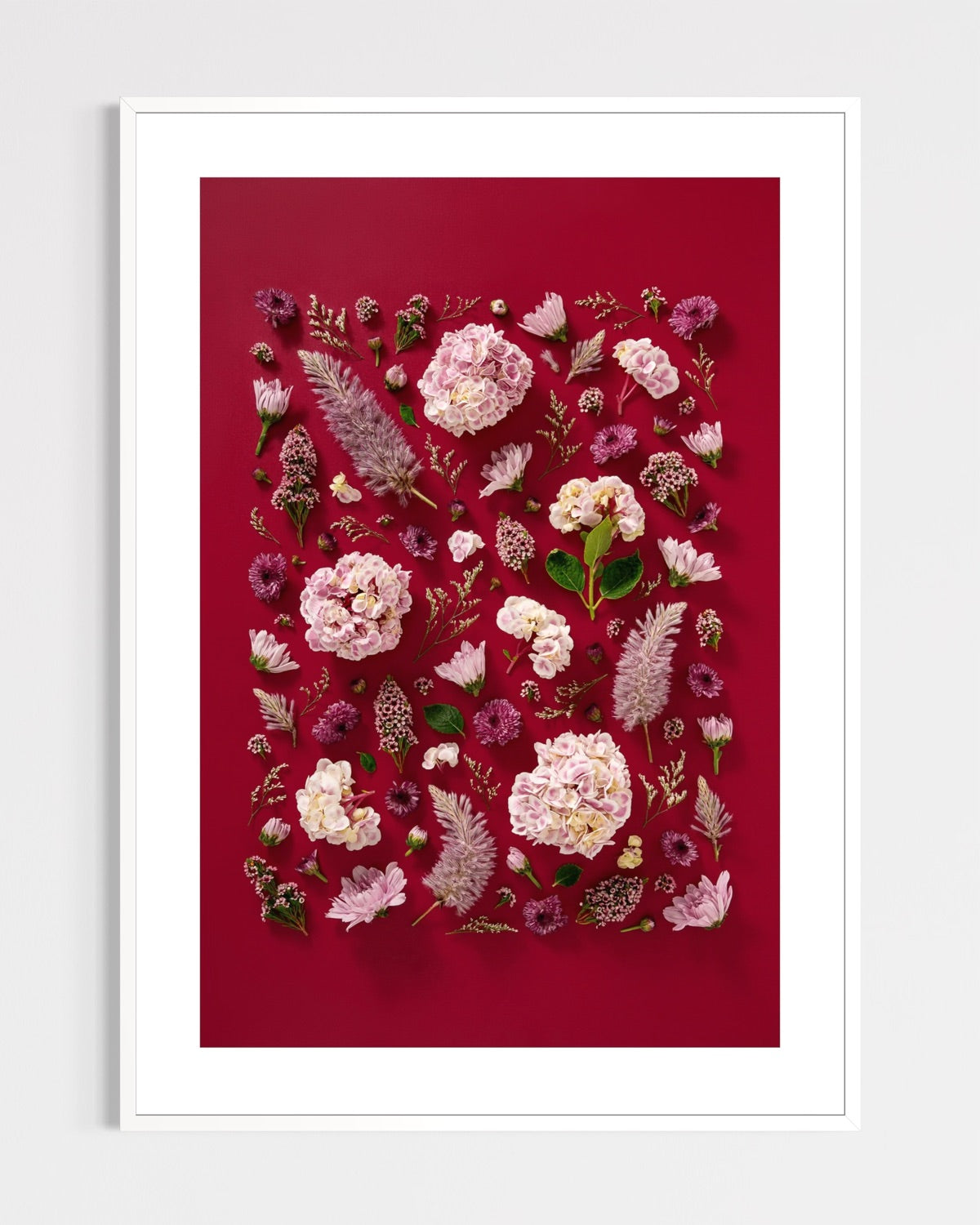 Soft Indulgence - fine art floral flatlay of hydrangeas and mulla mulla on deep raspberry in a white frame, from Quiet Emergence by Connie Chan.
