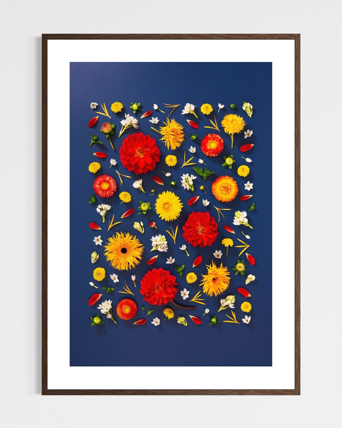 Unapologetic - fine art floral flatlay of red dahlias and gerberas on deep navy in a dark wood frame, from Quiet Emergence by Connie Chan.