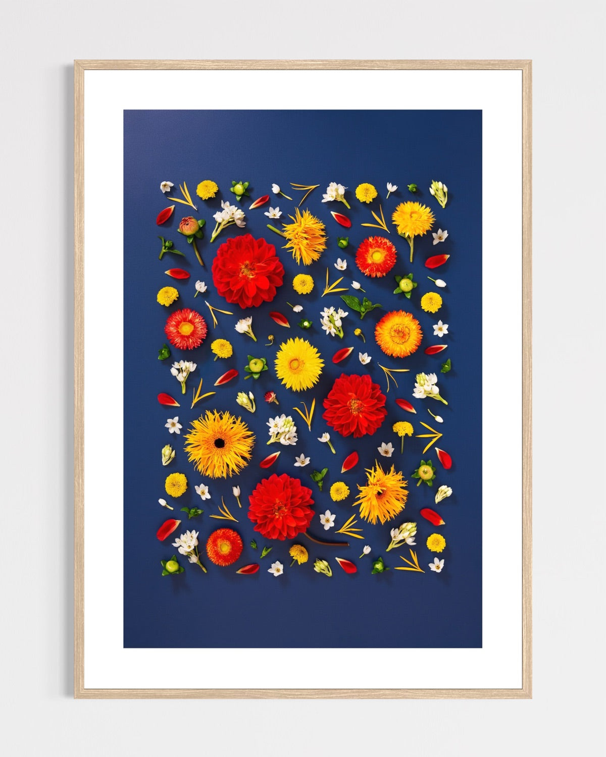 Unapologetic - fine art floral flatlay of red dahlias and gerberas on deep navy in a light wood frame, from Quiet Emergence by Connie Chan.