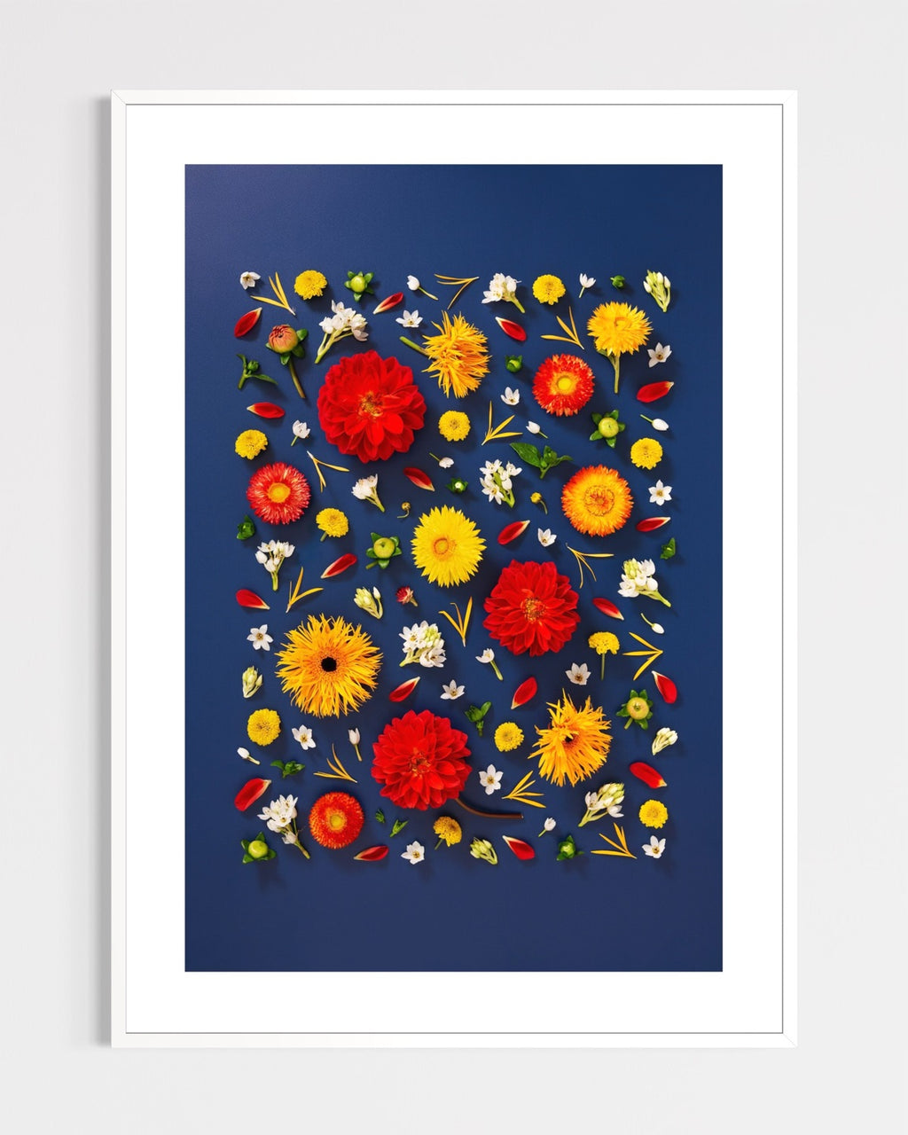 Unapologetic - fine art floral flatlay of red dahlias and gerberas on deep navy in a white frame, from Quiet Emergence by Connie Chan.
