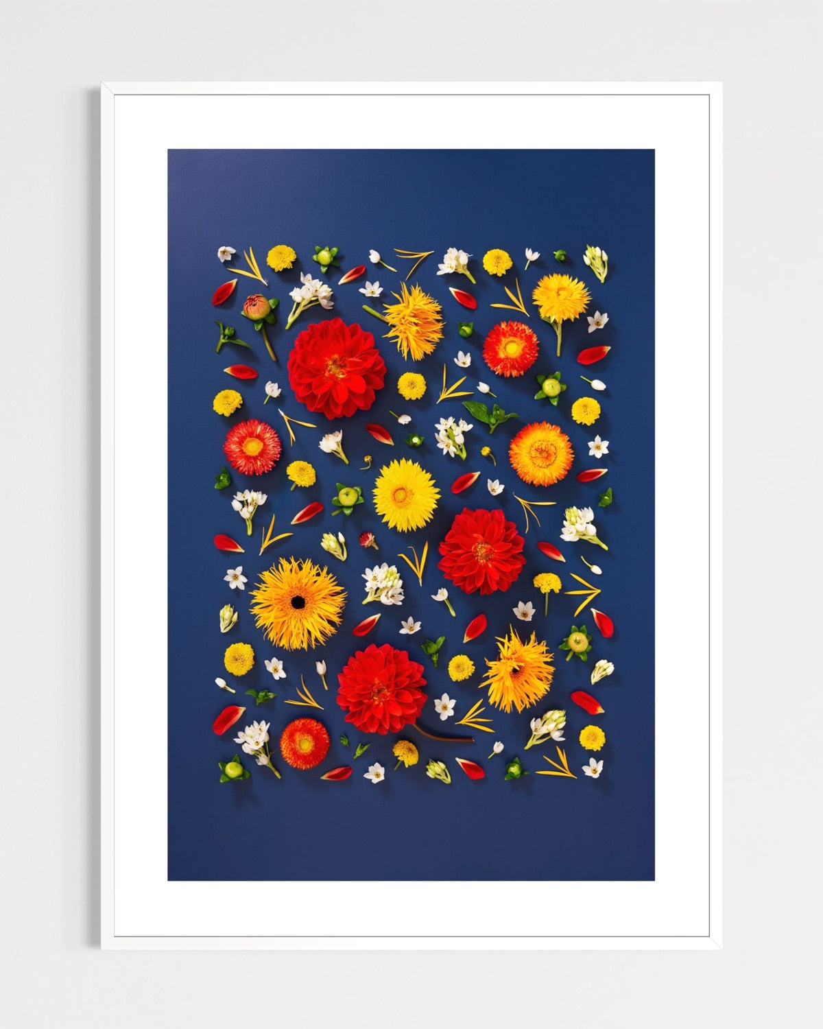 Unapologetic - fine art floral flatlay of red dahlias and gerberas on deep navy in a white frame, from Quiet Emergence by Connie Chan.
